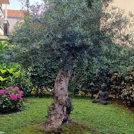 Superbe Appartement Avec Jardin Saint Charles Biarritz Eksteriør bilde