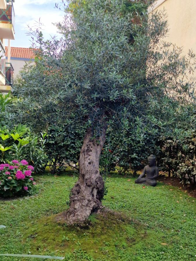Superbe Appartement Avec Jardin Saint Charles Biarritz Eksteriør bilde